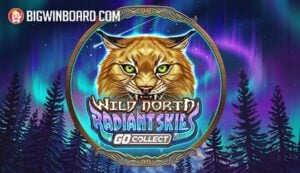 Buffalo Win ????????