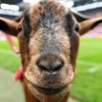 ufa100 ??? ??????? 10 ??? 100 ?? ???? ??????????????