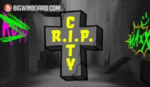 ????? viewbet24 ??? ???? ????????????????????