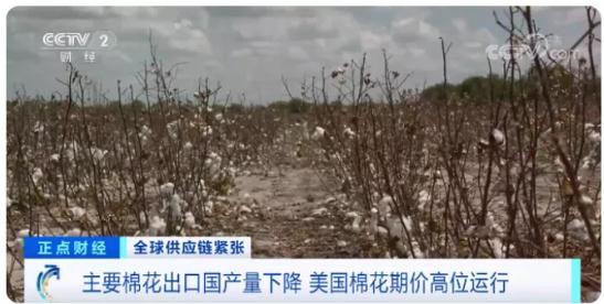國(guó)際棉花逼近十年新高，服裝出口企業(yè)挑戰(zhàn)與對(duì)策分析